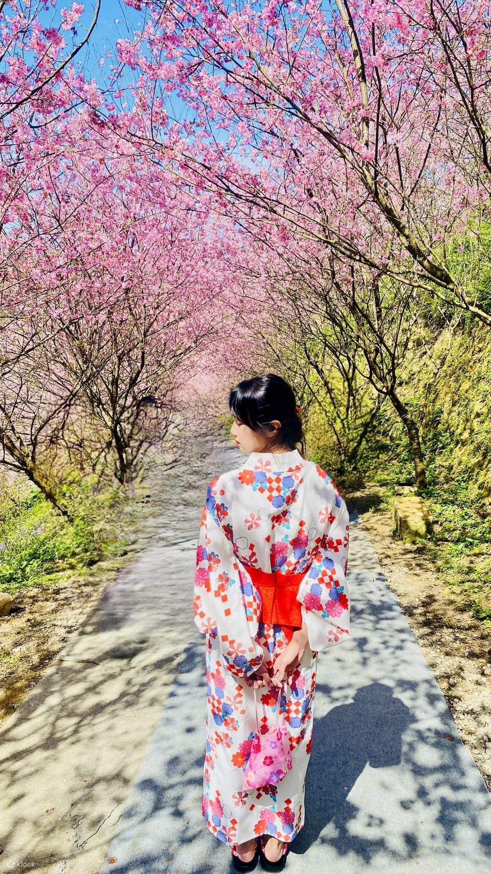 ピッピ様ジャンクジャーナル Cerry Blossom 3 Lunar New Year Cherry Blossom Pop-Up Card – Lovepop