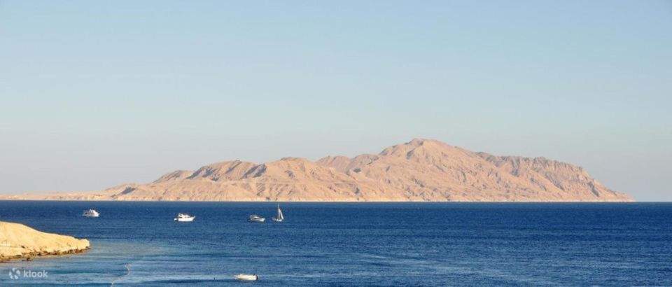 Crucero de Buceo en Barco a la Isla de Tirán desde Sharm con Traslados Privados