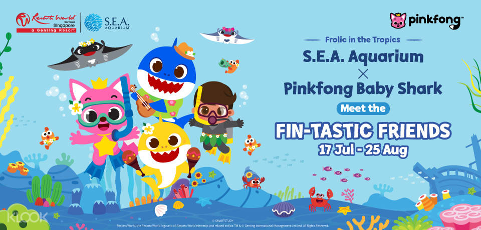 book sea aquarium sentosa singapore ticket online klook india