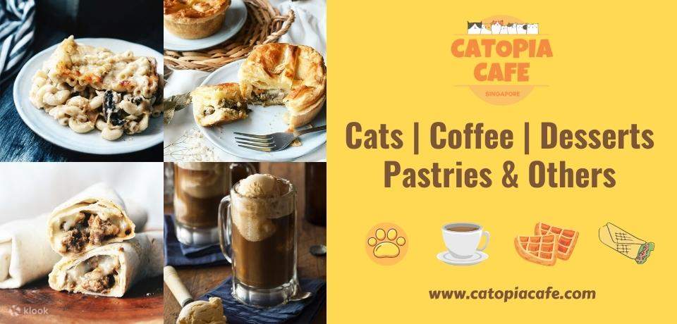 Pawsome Catopia Cat Cafe di Singapura
