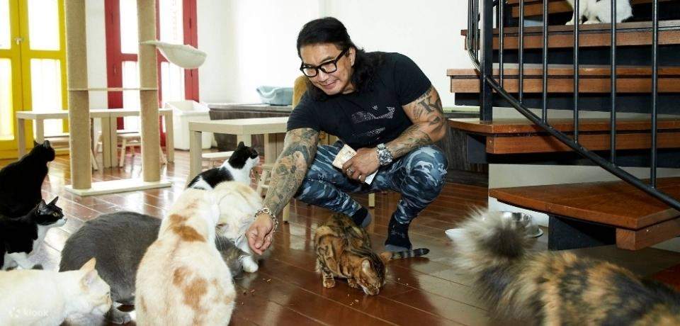 Pawsome Catopia Cat Cafe di Singapura