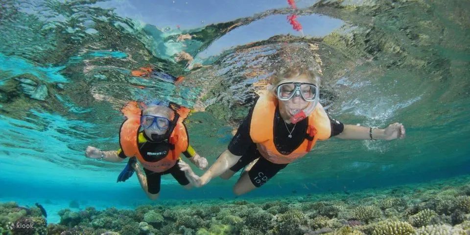 沙姆沙伊赫：拉斯穆罕默德潜水游船之旅（含私人接送）