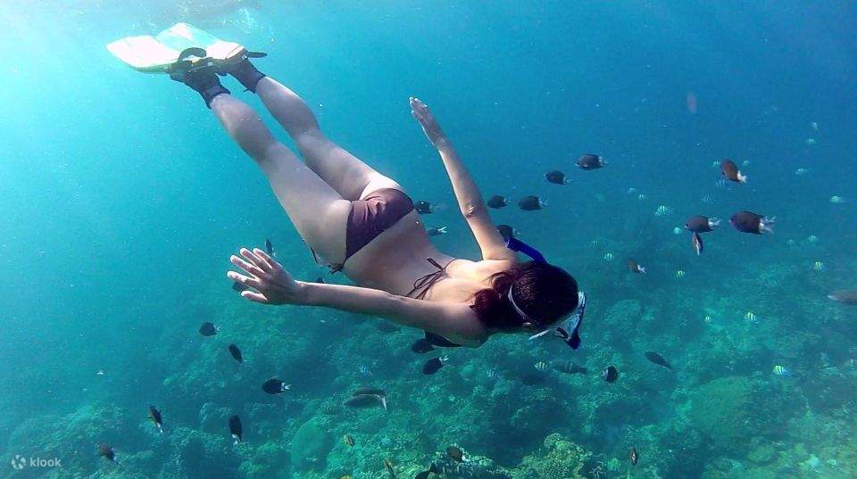 Mar Rosso: Isola di Orange Bay e crociera con snorkeling e pranzo
