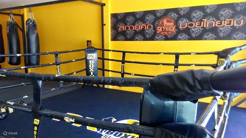 Sky Kick Muay Thai Gym Class