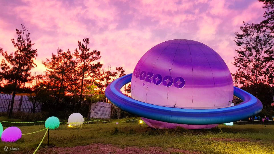 Preparing the Perfect Blossom - The BalloonPlanetarium