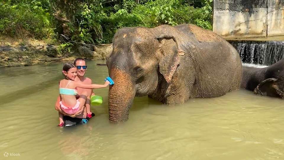 Тур на полдня в Krabi Elephant Care House