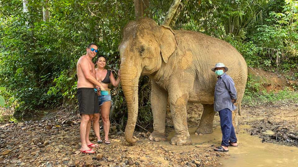 Krabi Elephant Care House & Swimming Half Day Tour di Huay To Waterfall