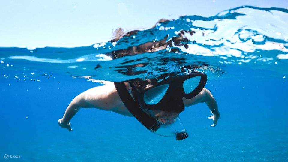 Mar Rosso: Isola di Orange Bay e crociera con snorkeling e pranzo