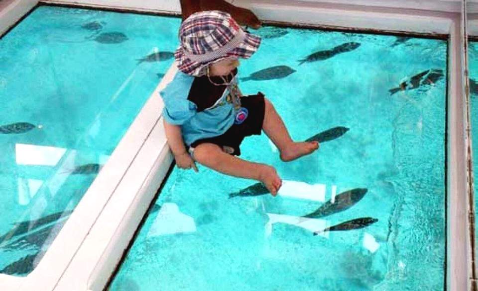 含午餐的沙漠和海上運動之旅