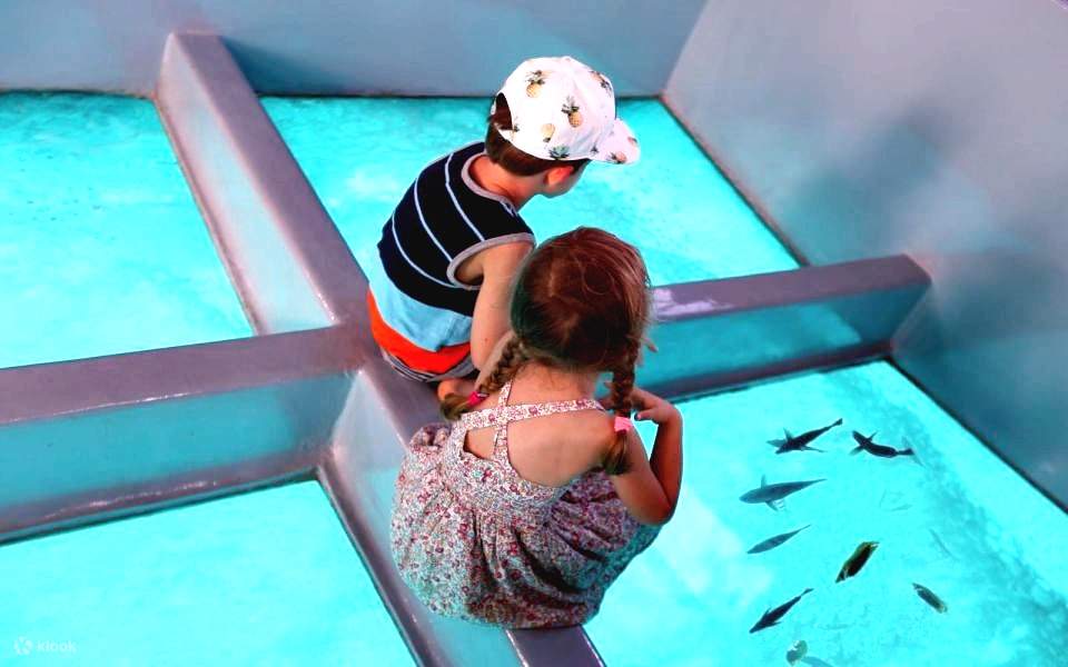 沙姆沙伊赫沙漠 & 海上運動之旅