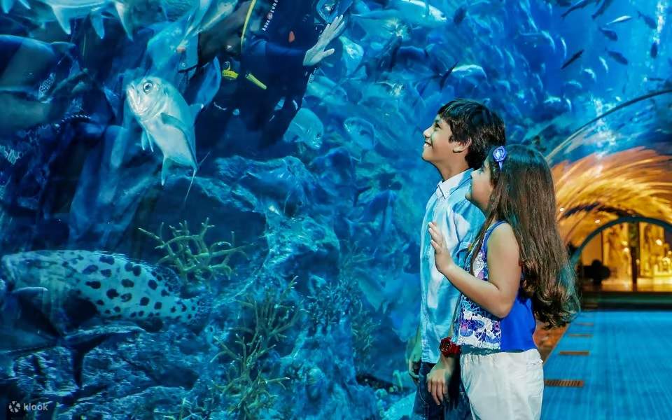 Das größte freihängende Aquarium der Welt in der Dubai Mall