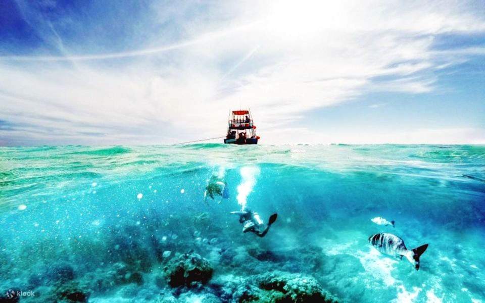 Sharm: Crucero en barco de buceo a la Isla de Tirán con traslados privados