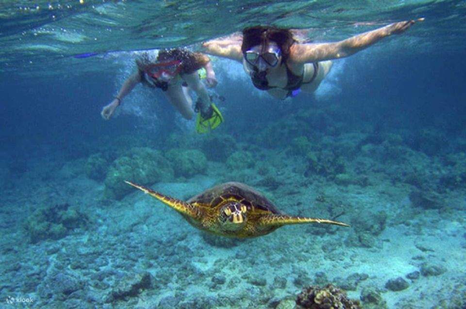 Red Sea: Semi-Submarine Boat Trip with Snorkeling