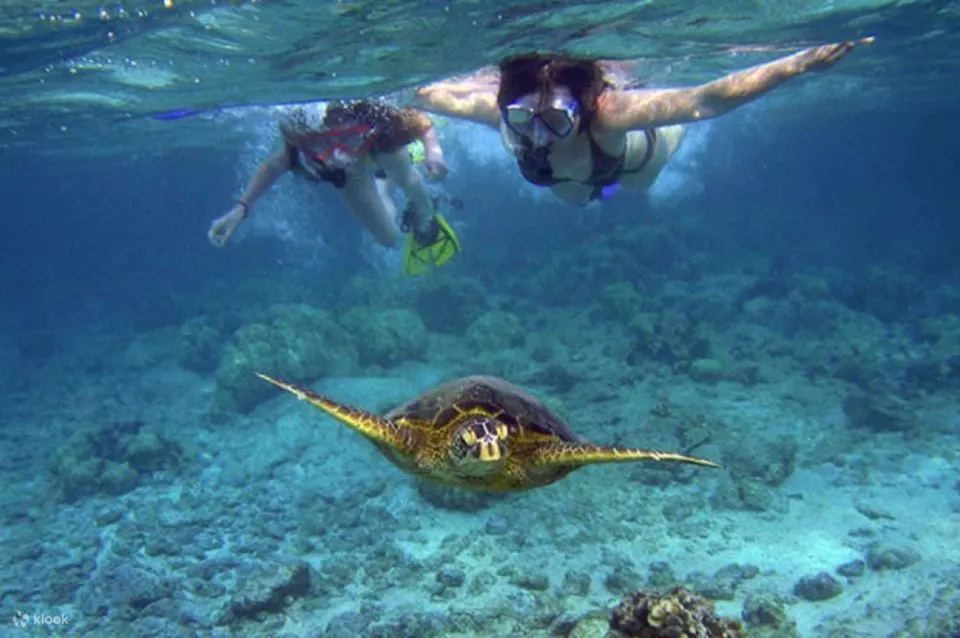 红海：半潜艇浮潜之旅