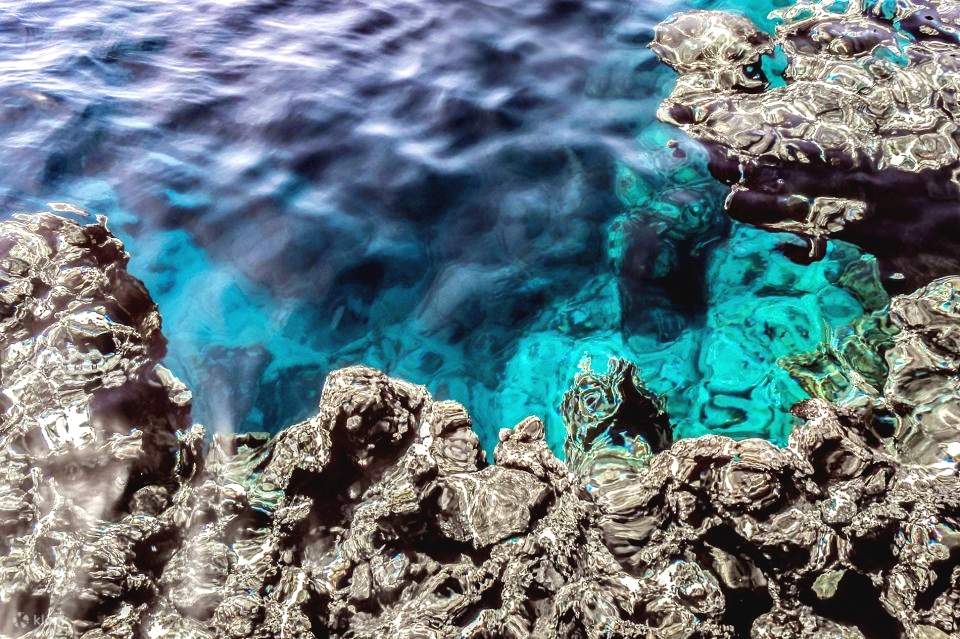 Sharm: Crucero en barco de buceo a la isla de Tirán con traslados privados