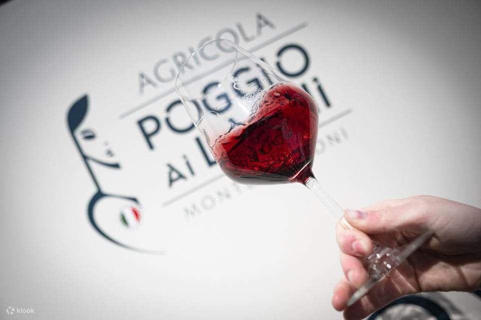 Chianti Lunch with Wine Tasting at Poggio ai Laghi Winery Klook India