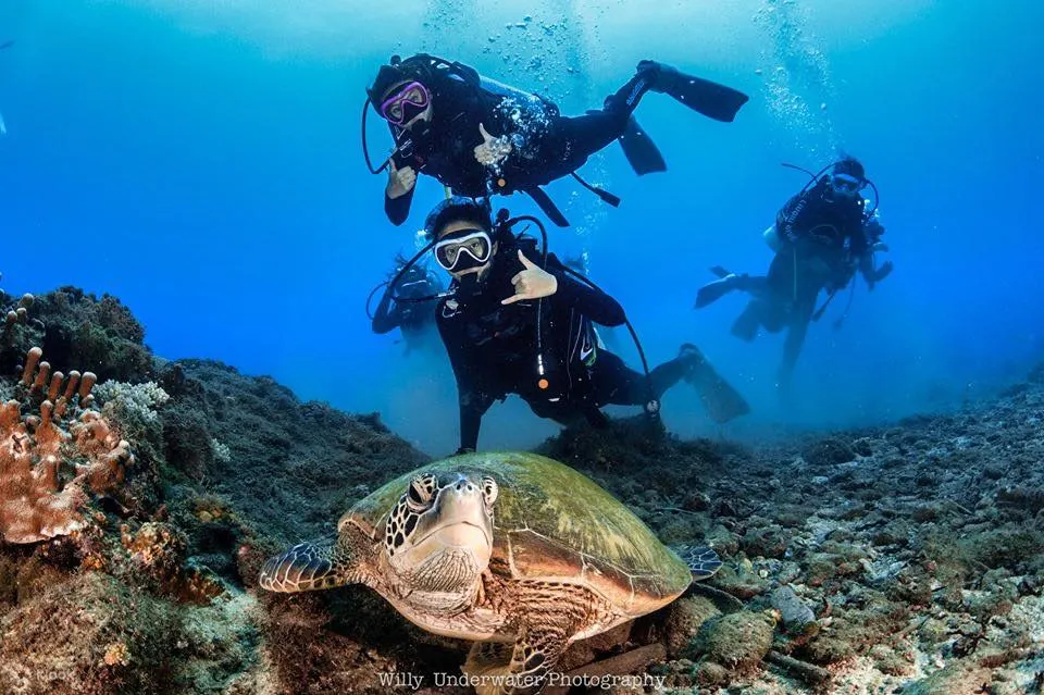 海洋生物种类众多