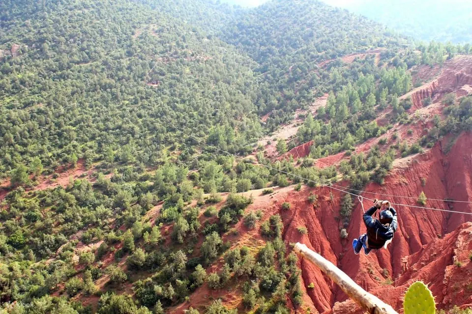 在滑索之旅中欣赏令人惊叹的景色