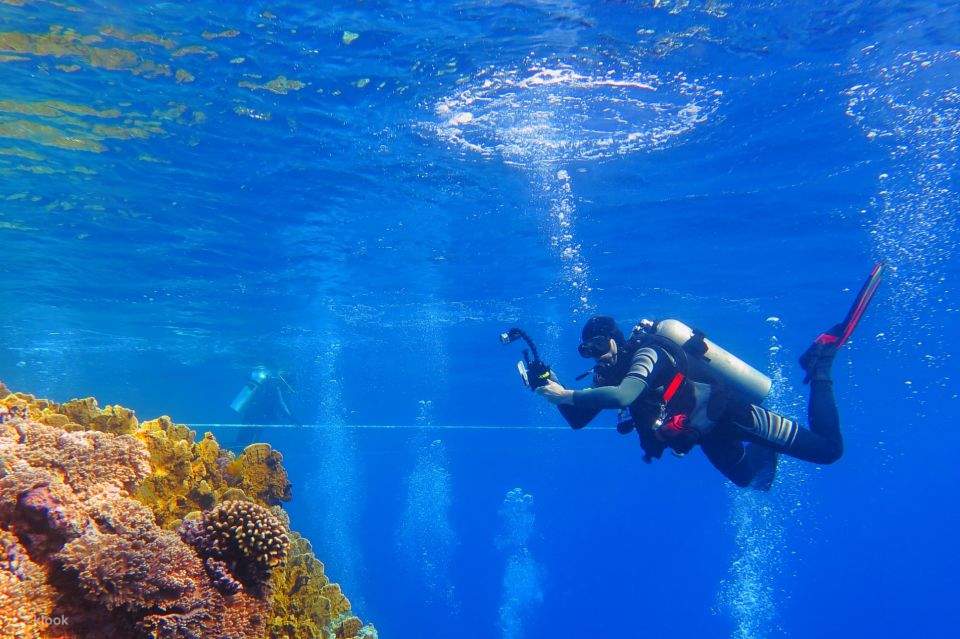 Mar Rosso: Isola di Orange Bay e crociera con snorkeling e pranzo