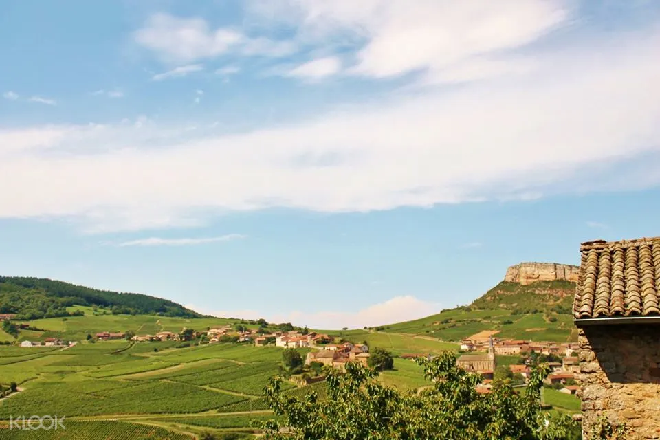 Macon Wine Full Day Tour From Lyon