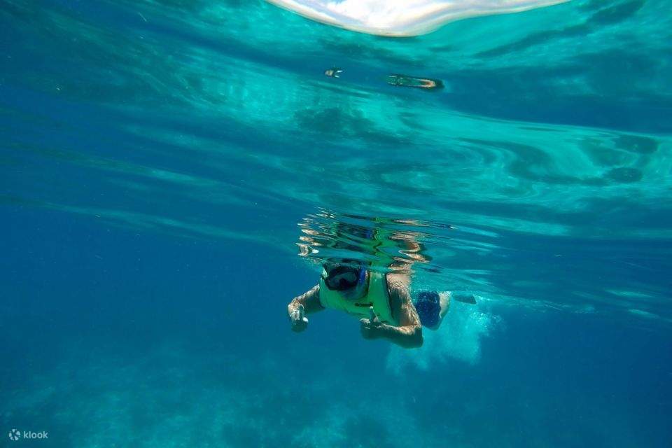 Mascate: Osservazione dei delfini e snorkeling