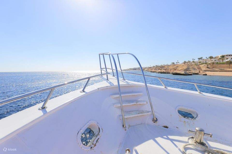 Bahía de Makadi: Excursión en barco para avistar delfines con traslados privados