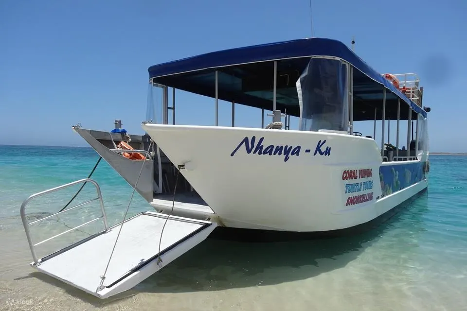 珊瑚湾生态旅游活动