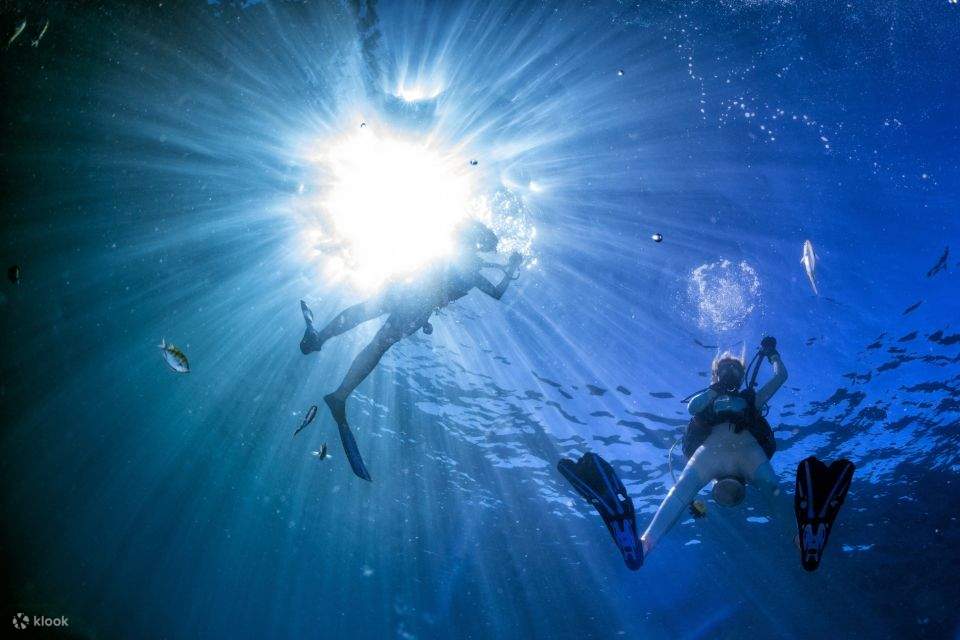 Sahl Hasheesh: Diving or Snorkeling Boat Trip with Lunch