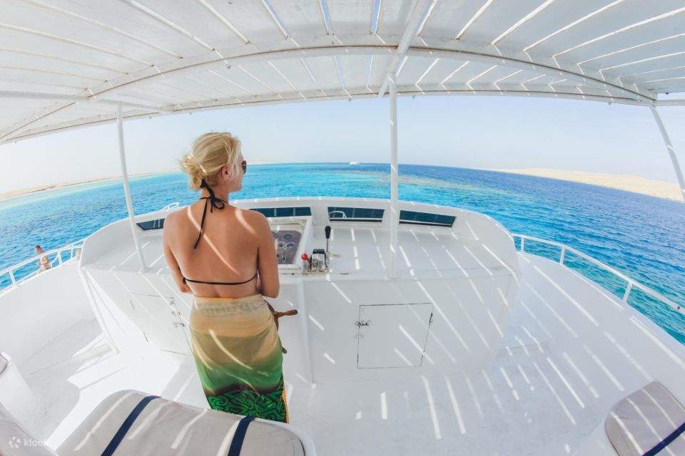 Makadi Bay: Delfinbeobachtungstour mit dem Boot & privatem Transfer