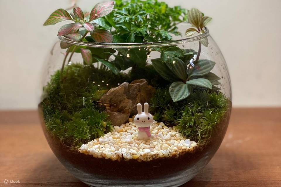 DIY-Terrarium-Workshop