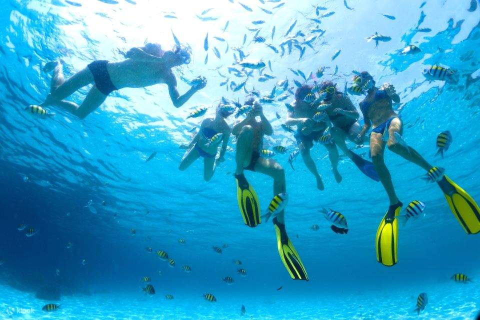 Sahl Hasheesh: Diving or Snorkeling Boat Trip with Lunch