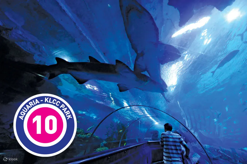 KL Hop-On Hop-Off Sightseeing Bus Pass 