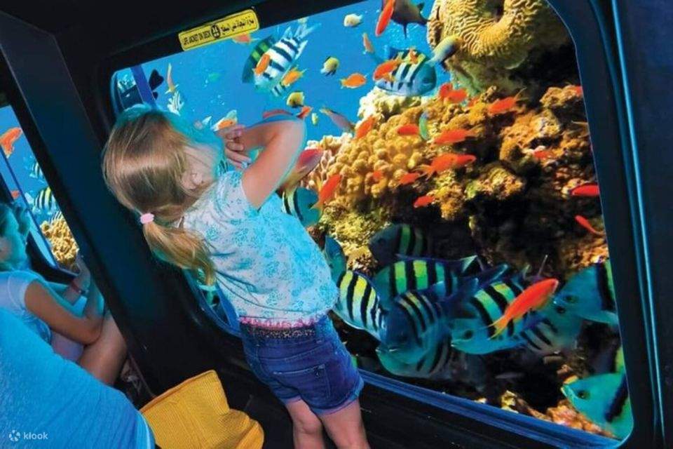 Sharm el-Sheikh: Semi-submarine Trip di Sepanjang Pantai