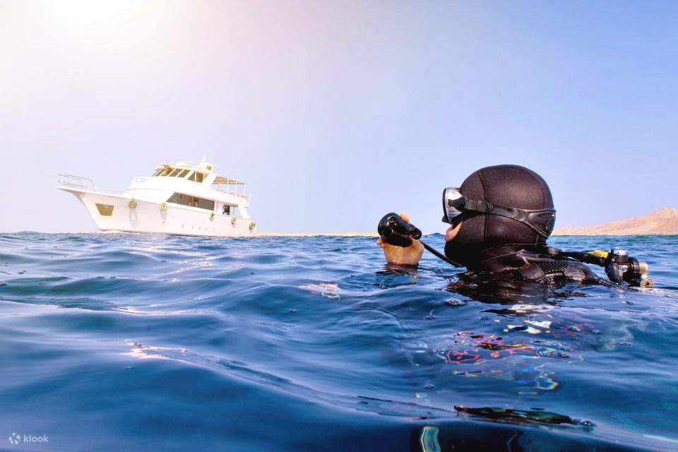 Scharm: Tauchboot-Tour zur Insel Tiran mit privatem Transfer