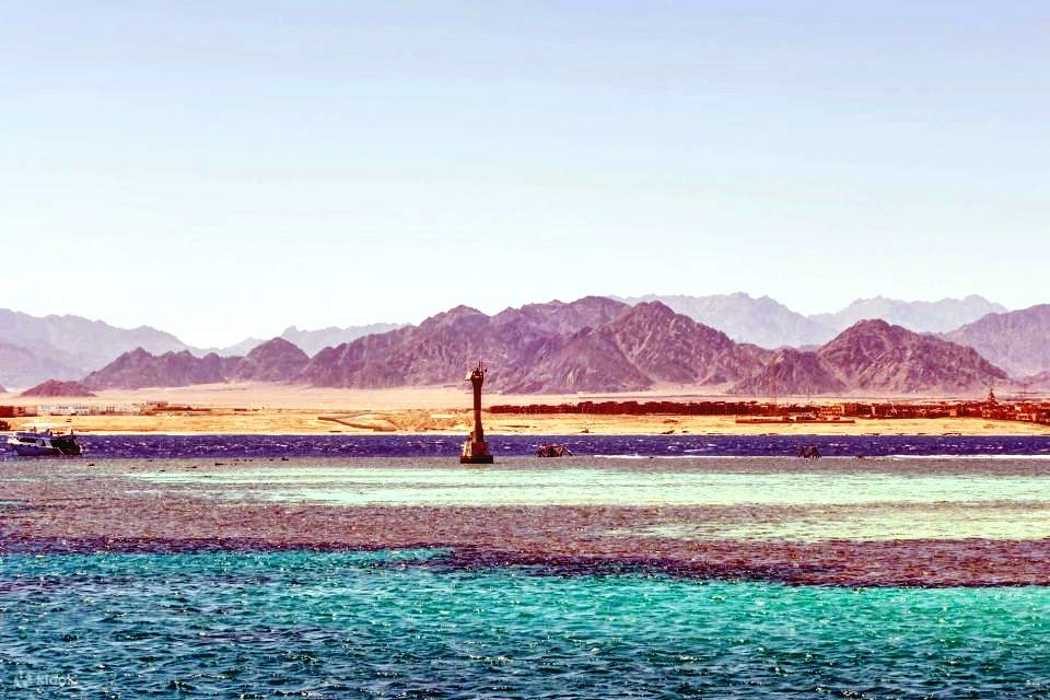 Sharm: Crucero en barco de buceo a la Isla de Tirán con traslados privados