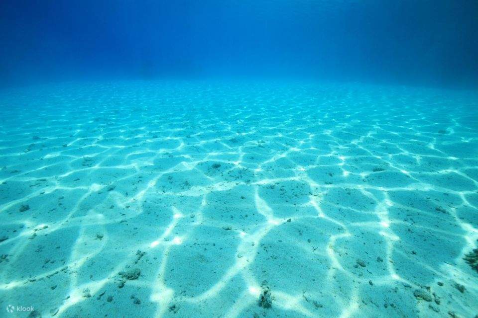 ล่องเรือดำน้ำที่ชาร์ม (Sharm) สู่เกาะทิราน พร้อมบริการรับส่งส่วนตัว