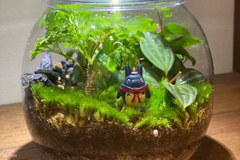 เวิร์กชอปจัดสวนขวดแก้ว