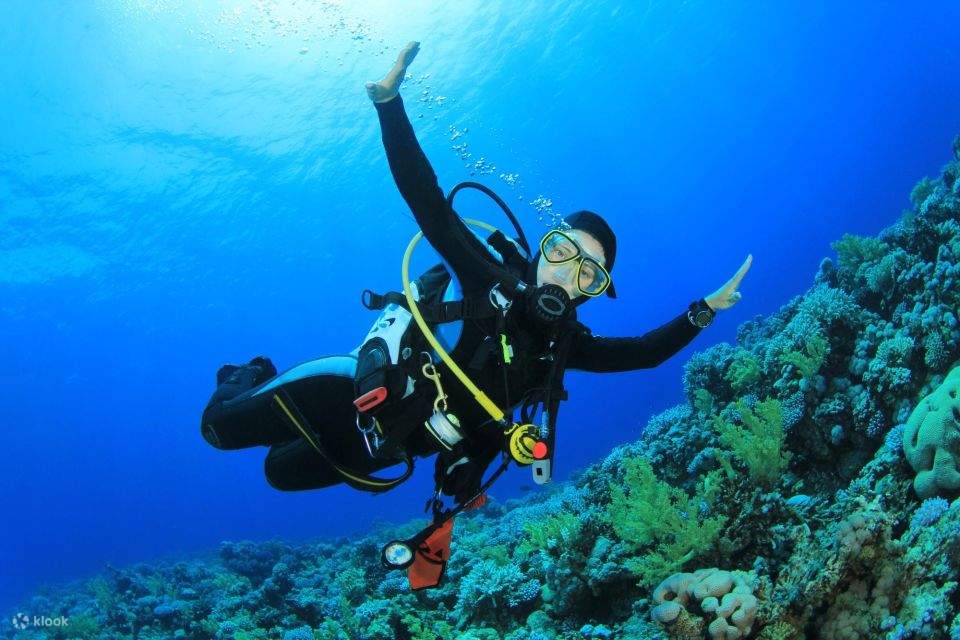 ทัวร์ล่องเรือที่เกาะติรานในชาร์มเอลชีค พร้อมกิจกรรมหัดดำน้ำและอาหารกลางวัน