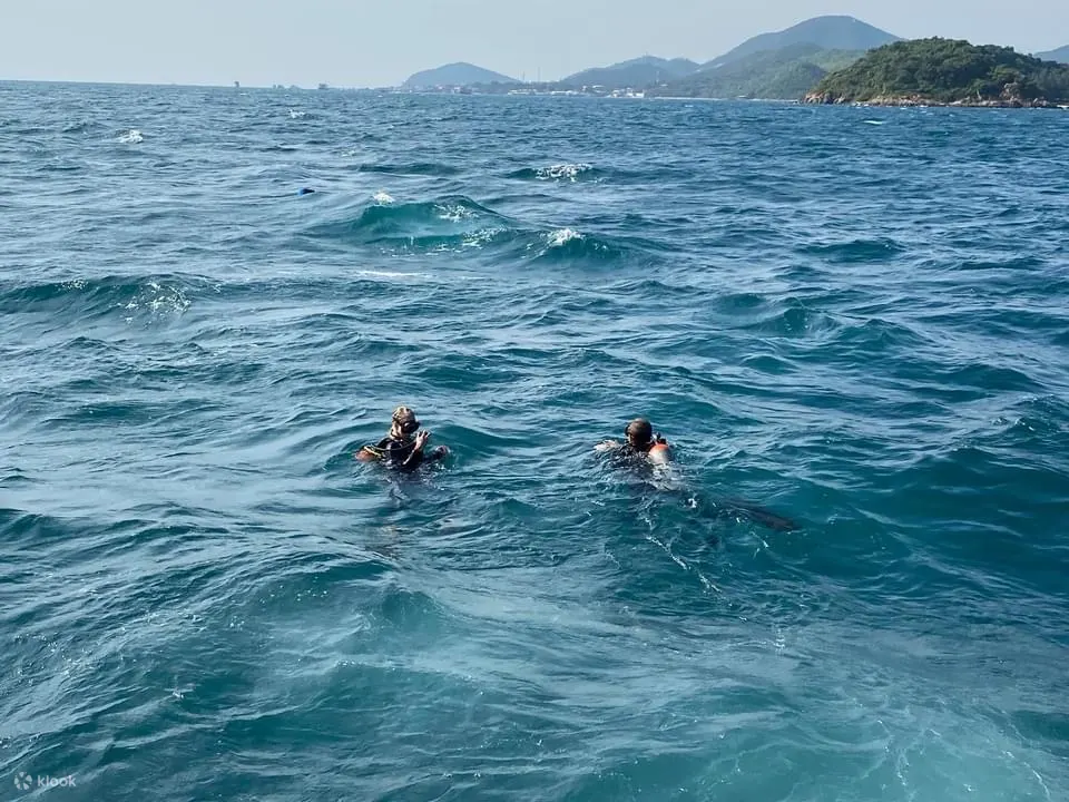 Manta Marina 芭达雅水肺潜水