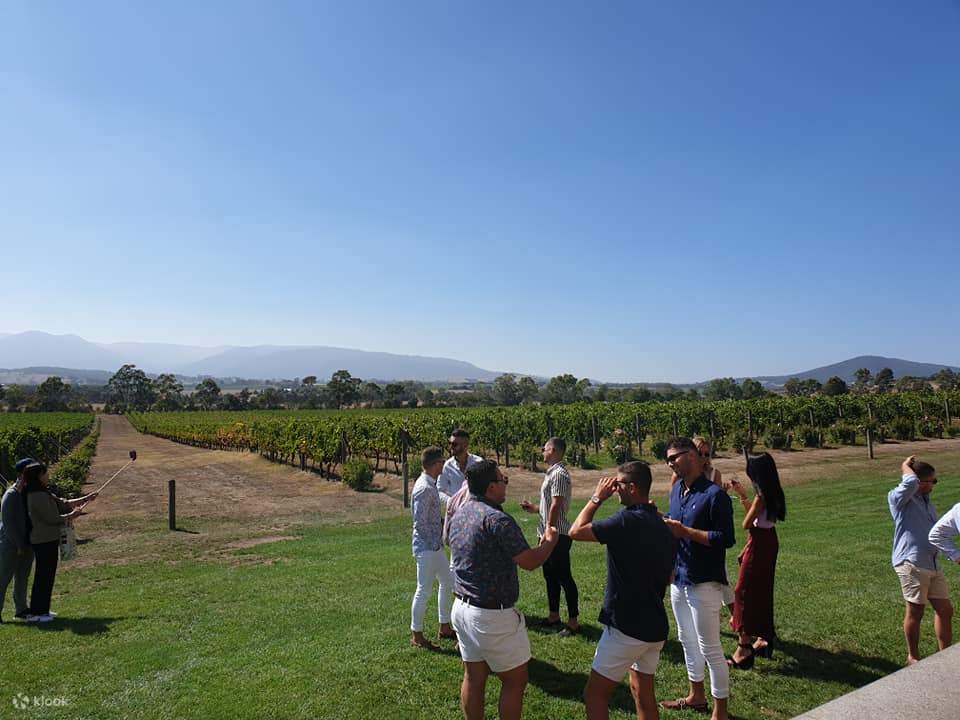 Weinproben Yarra Valley Touren ab Melbourne