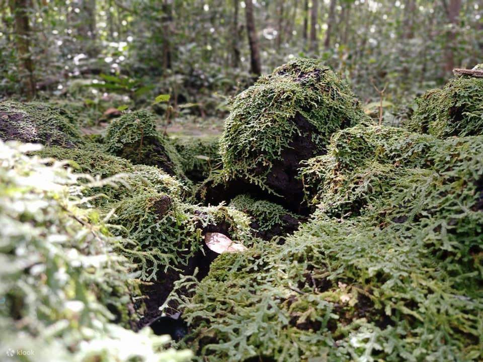 ทัวร์อุทยานแห่งชาติ Nam Cat Tien โฮจิมินห์ เวียดนาม