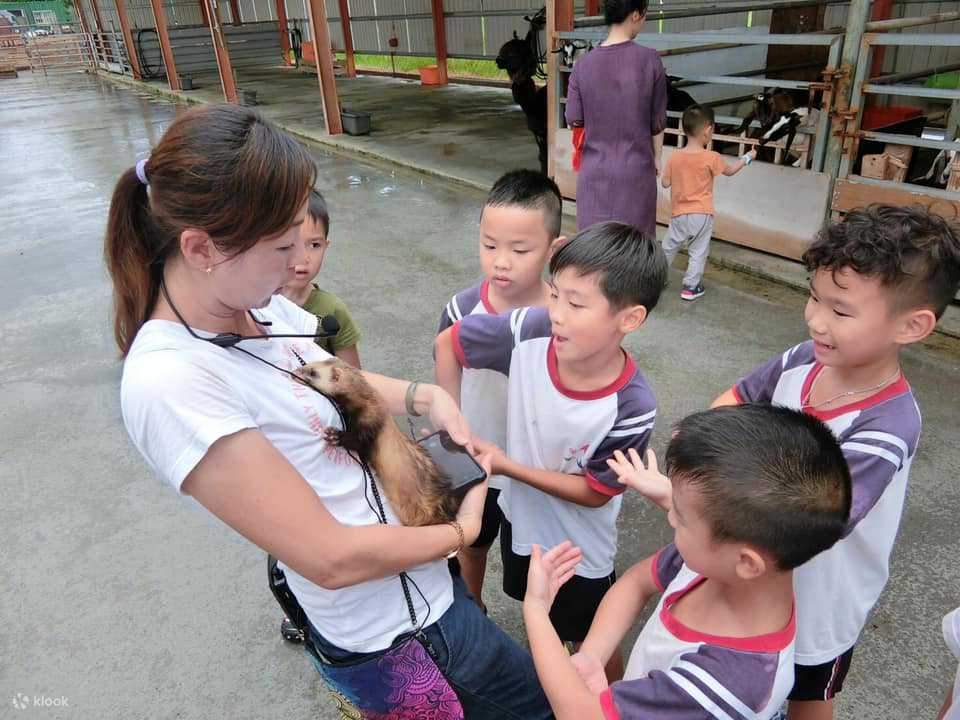 檻の中のヌビアヤギ