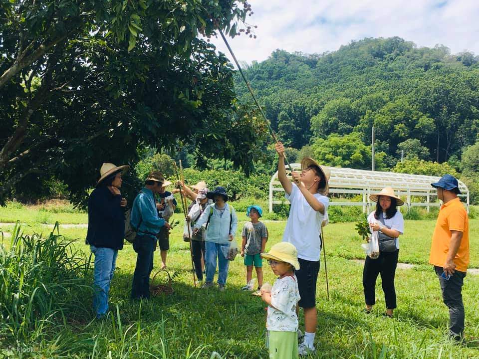 Tainan: Tur Edukasi Ekologi Kebun Buah & Pengalaman Membuat Selai Buatan Tangan