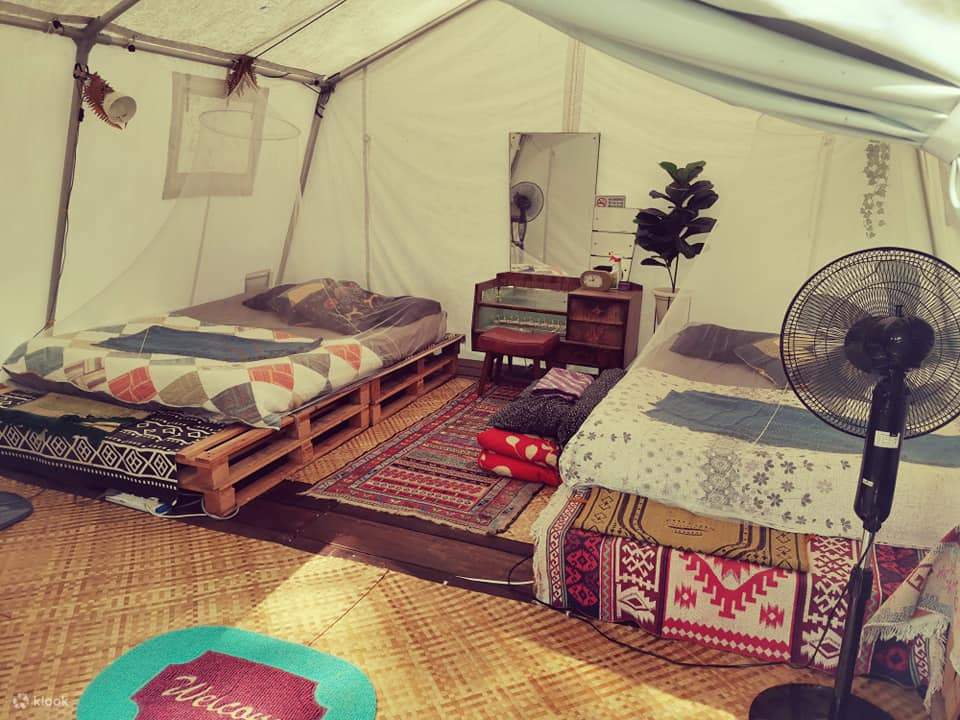 El árbol de lluvia 1