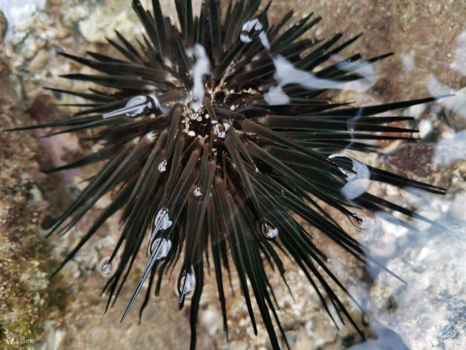 Exploration nocturne du Palais du Dragon