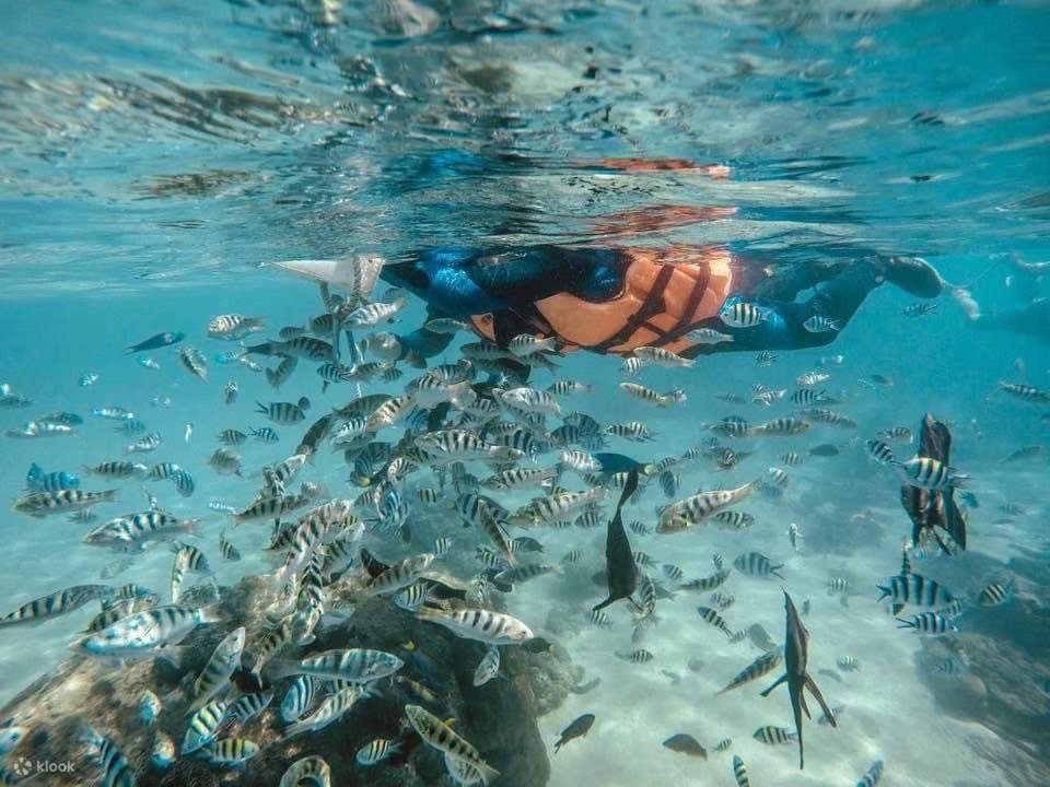 山水沙滩SUP体验．浮潜