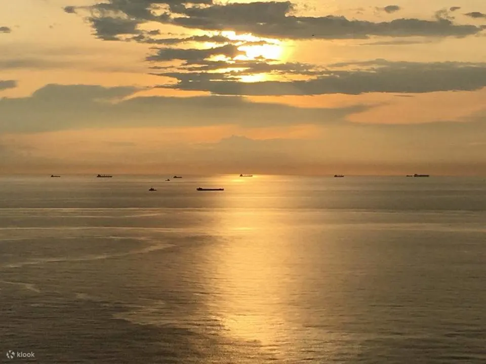 迪克森龙