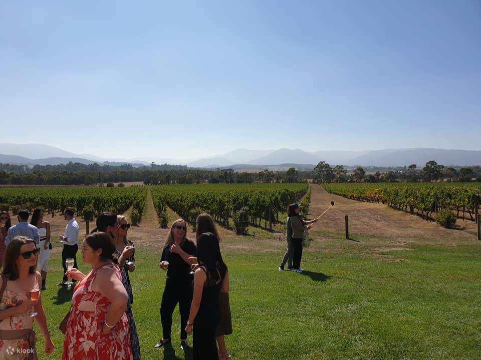Tours de degustación de vinos en Yarra Valley desde Melbourne
