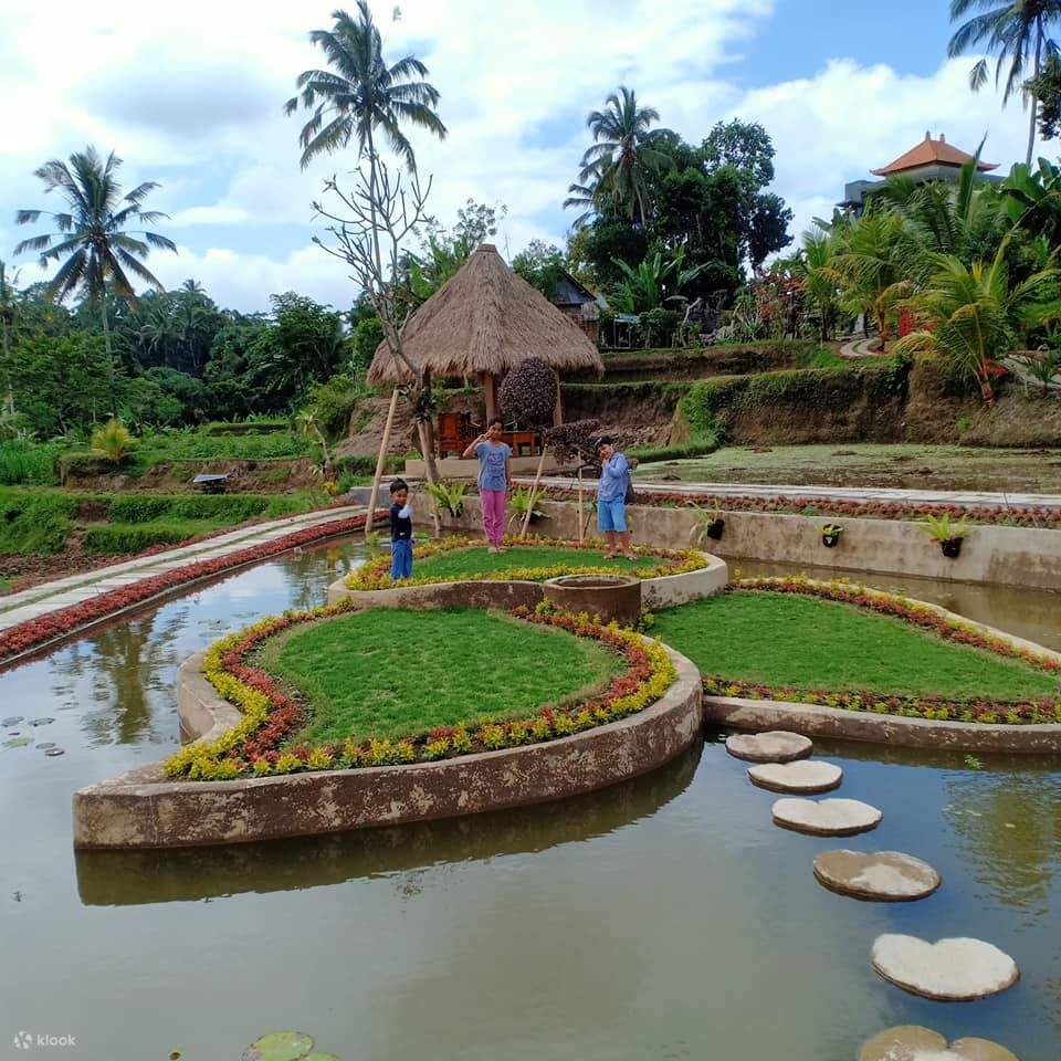 ทัวร์ชมหิ่งห้อย สัมผัสไฮไลท์ อูบุด และคาเฟ่ กินตามานี - Klook