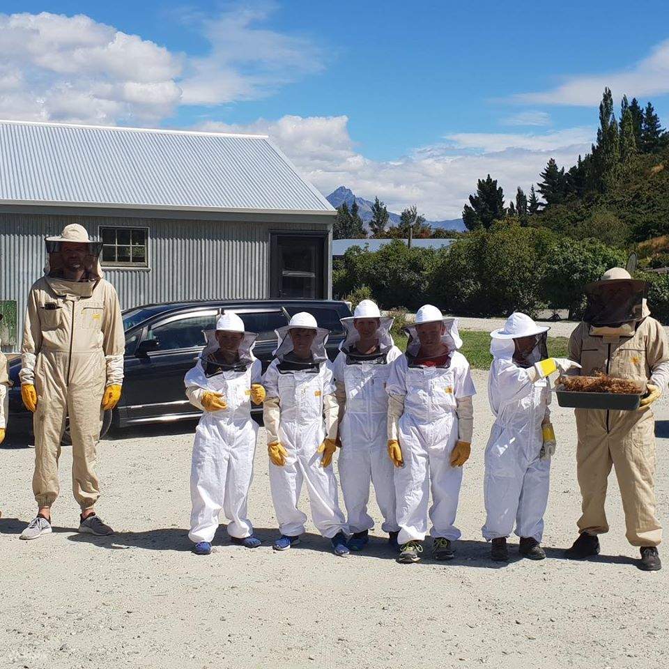 Esperienza interattiva di apicoltura 